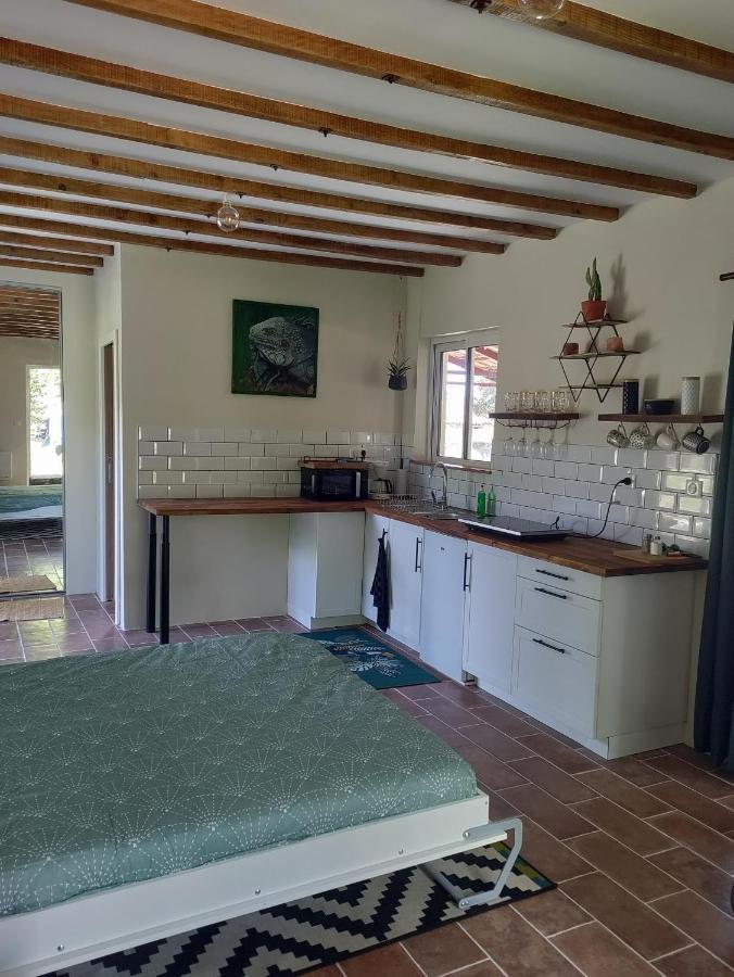 Appartamento Chez Chapelle In The Heart Of The Gascony With Pool And Hot Tub Auch Esterno foto