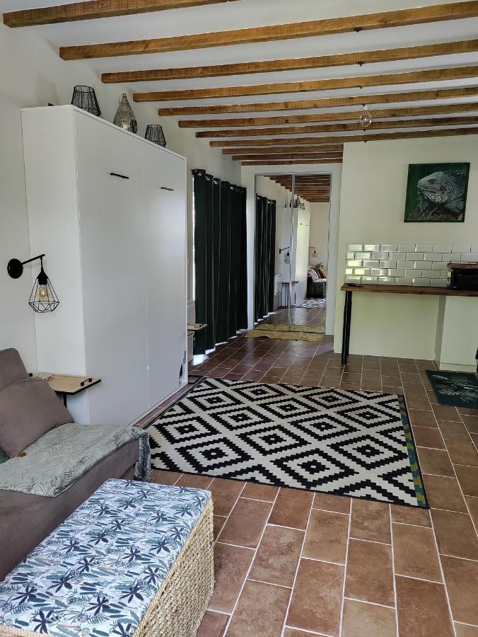 Appartamento Chez Chapelle In The Heart Of The Gascony With Pool And Hot Tub Auch Esterno foto