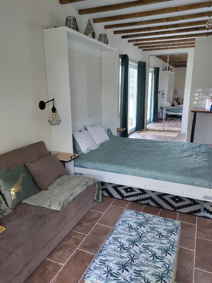 Appartamento Chez Chapelle In The Heart Of The Gascony With Pool And Hot Tub Auch Esterno foto