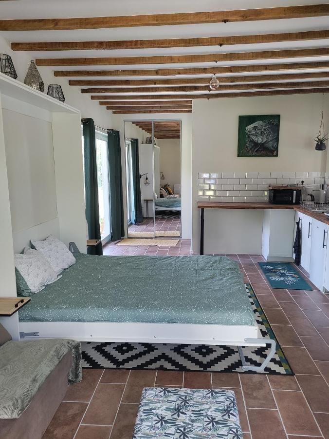 Appartamento Chez Chapelle In The Heart Of The Gascony With Pool And Hot Tub Auch Esterno foto