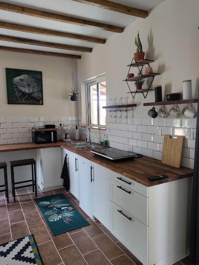 Appartamento Chez Chapelle In The Heart Of The Gascony With Pool And Hot Tub Auch Esterno foto