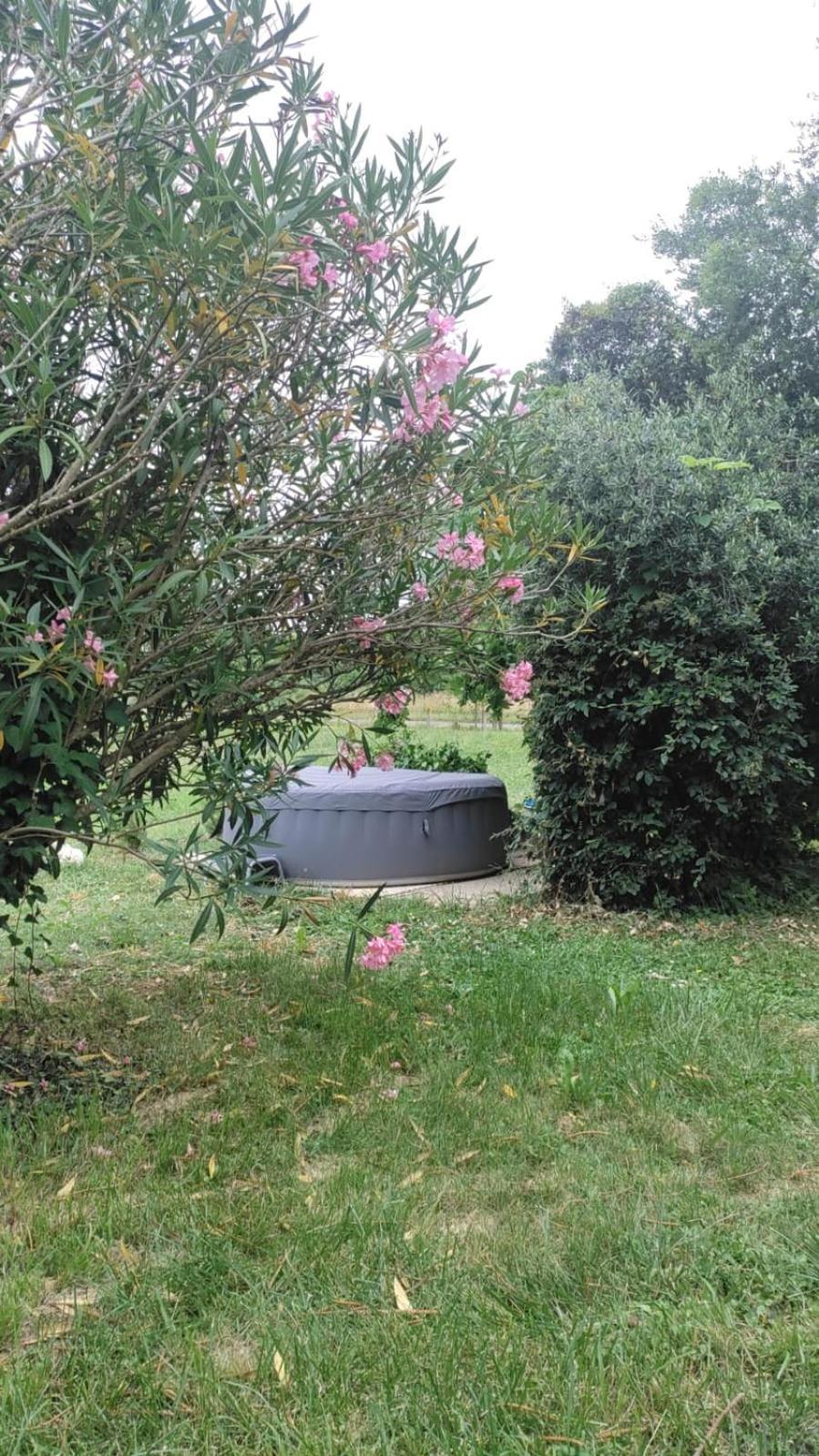 Appartamento Chez Chapelle In The Heart Of The Gascony With Pool And Hot Tub Auch Esterno foto